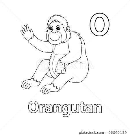 Orangutan alphabet abc isolated coloring page o