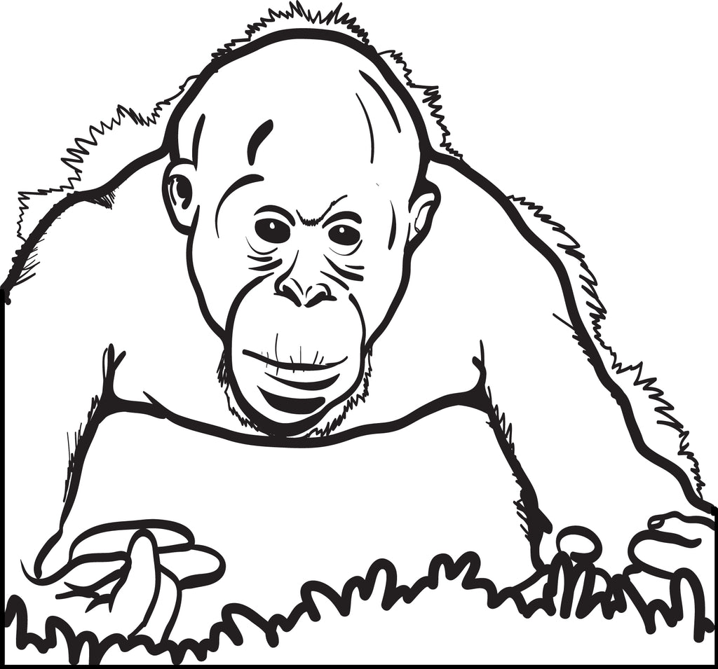 Printable orangutan coloring page for kids â