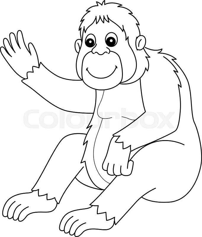 Orangutan animal isolated coloring page for kids stock vector