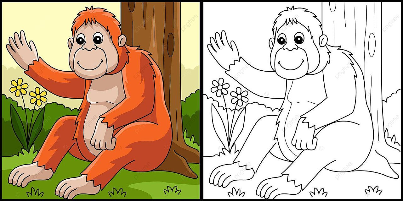 Orangutan animal coloring page illustration outline kids design vector outline kids design png and vector with transparent background for free download