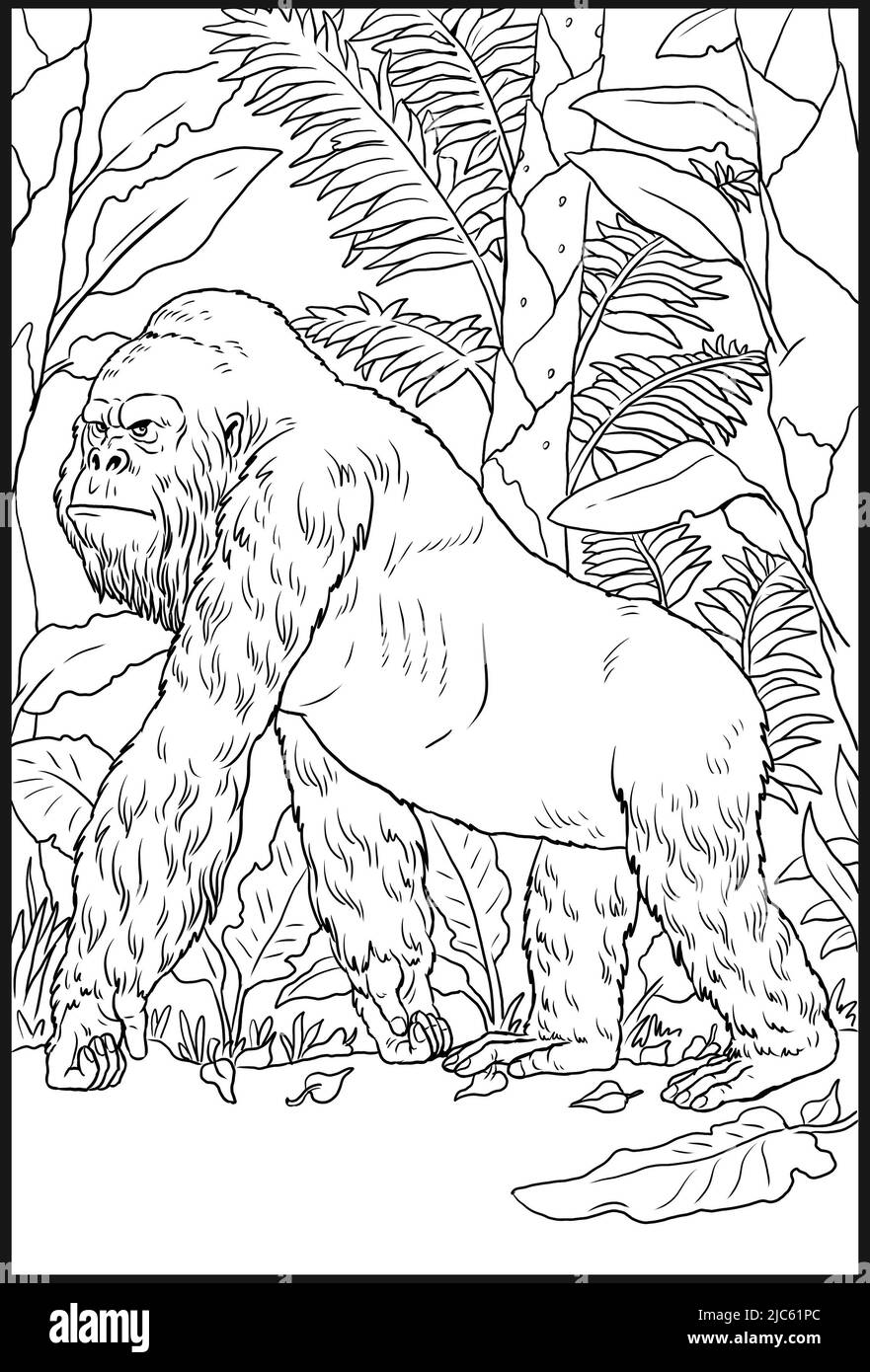 Prehistoric primates gigantopithecus giant orangutan ancestors of humans for coloring book stock photo