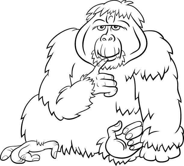 Orangutan ape wild animal cartoon coloring book page stock illustration