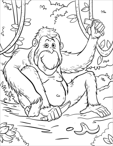 Orangutans coloring pages free coloring pages