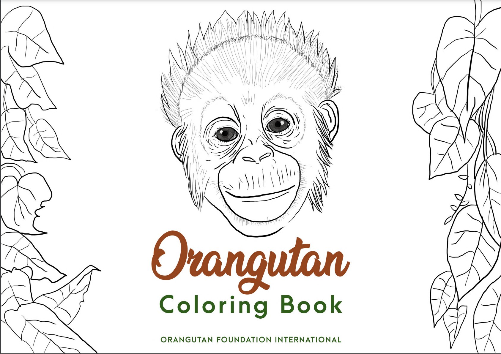 Orangutan foundation international on x get to know orangutans with our coloringbook ð our