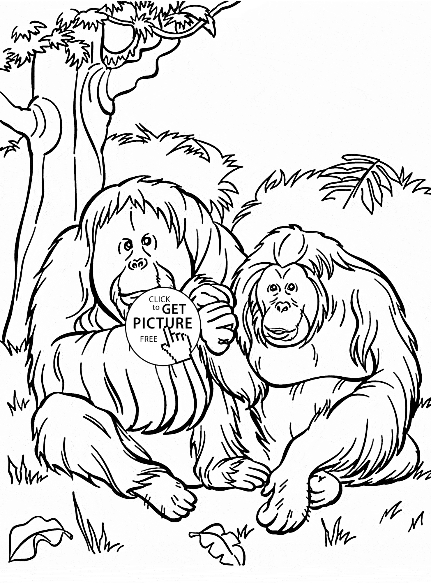 Orangutans coloring page for kids animal coloring pages printables free