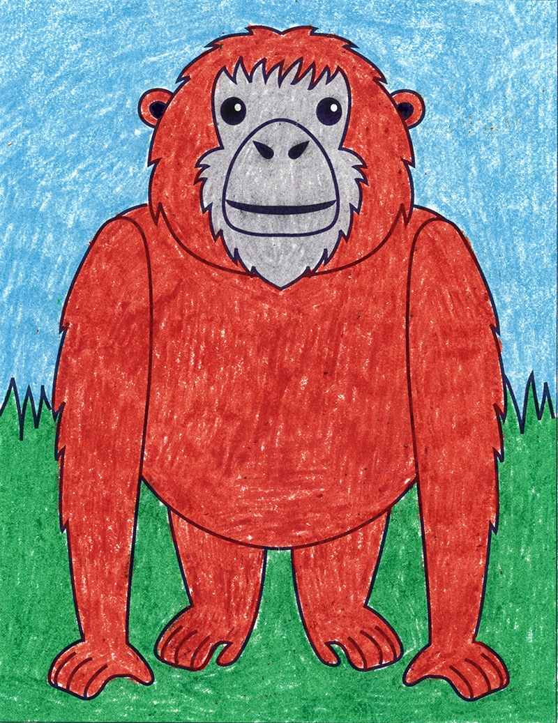 How to draw an orangutan