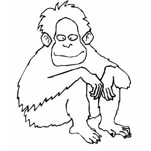 Orangutan coloring page