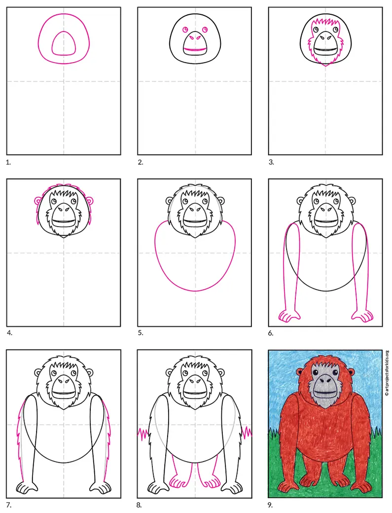 How to draw an orangutan