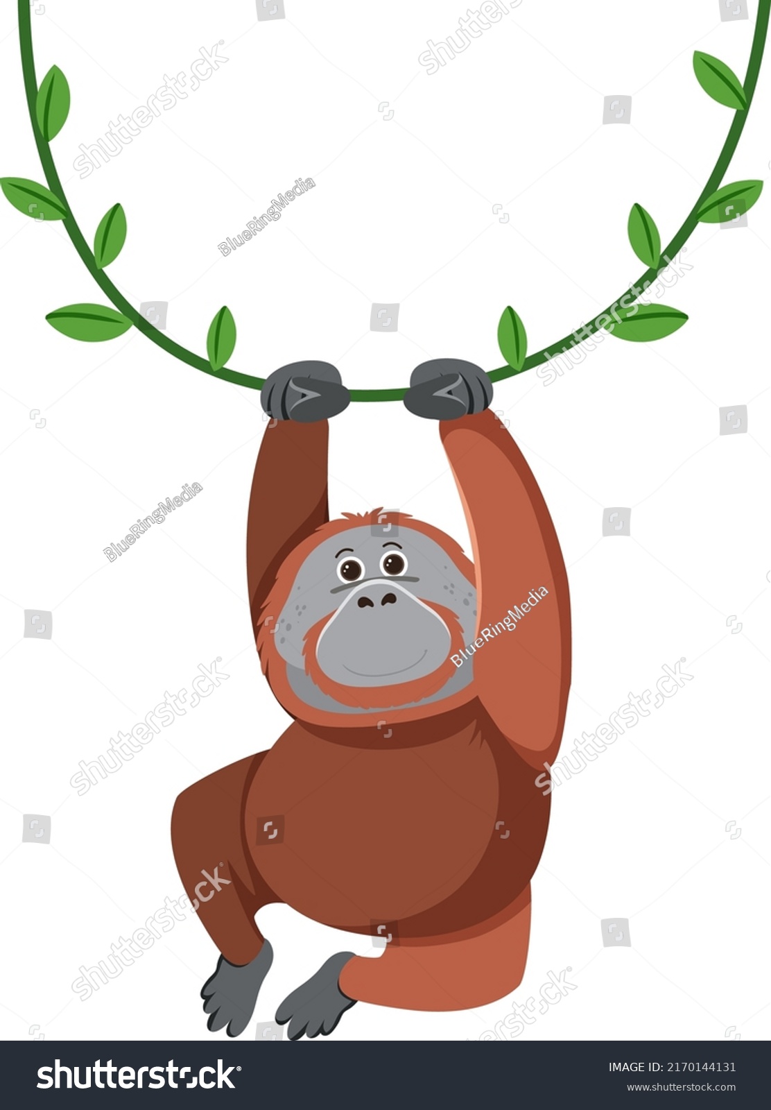 Orangutan drawing images stock photos d objects vectors