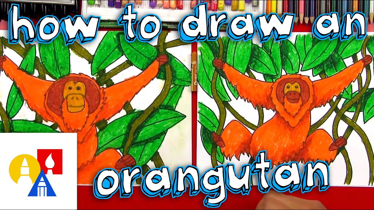 How to draw an orangutan