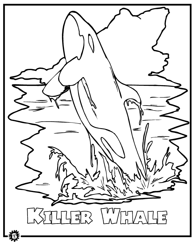 Killer whale orca coloring page