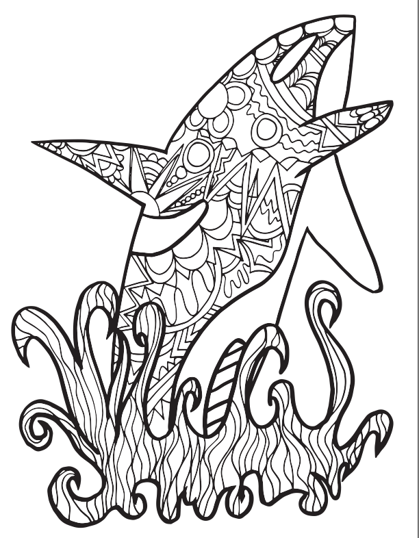 Free orca coloring pages â stevie doodles