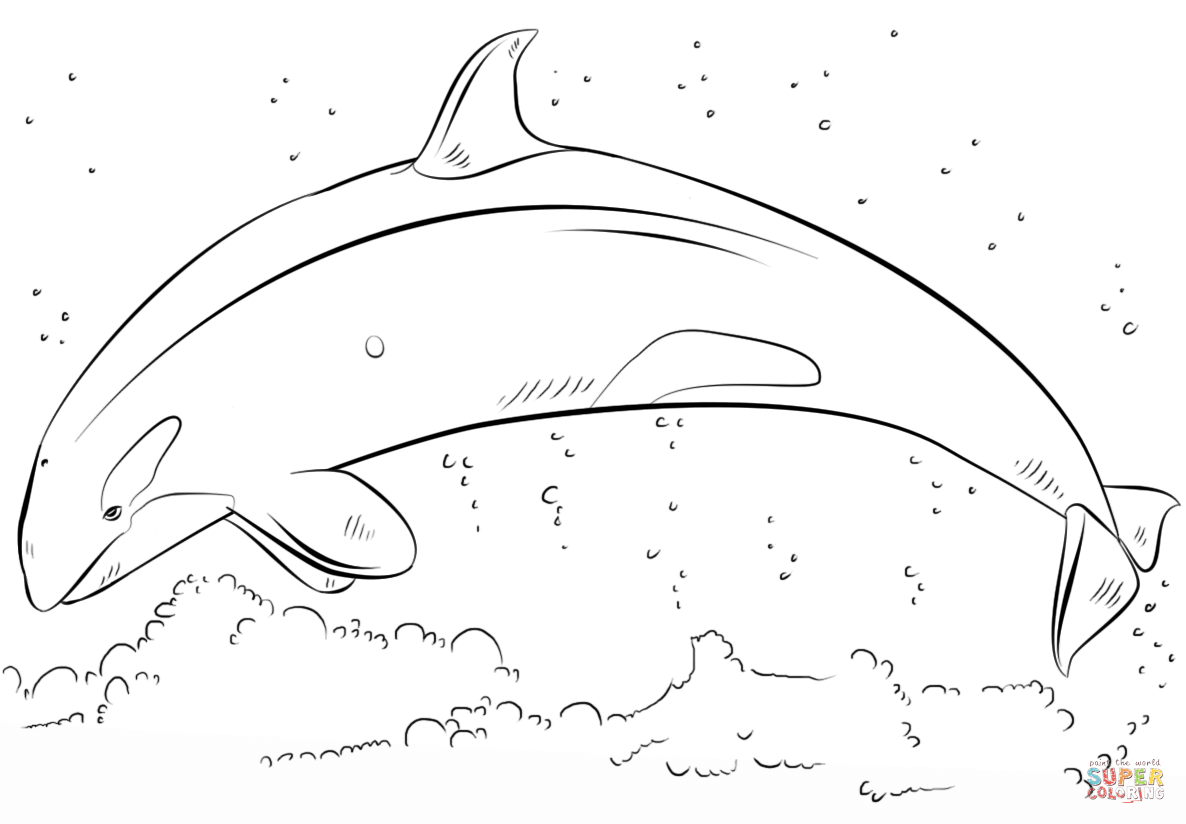 Jumping orca coloring page free printable coloring pages