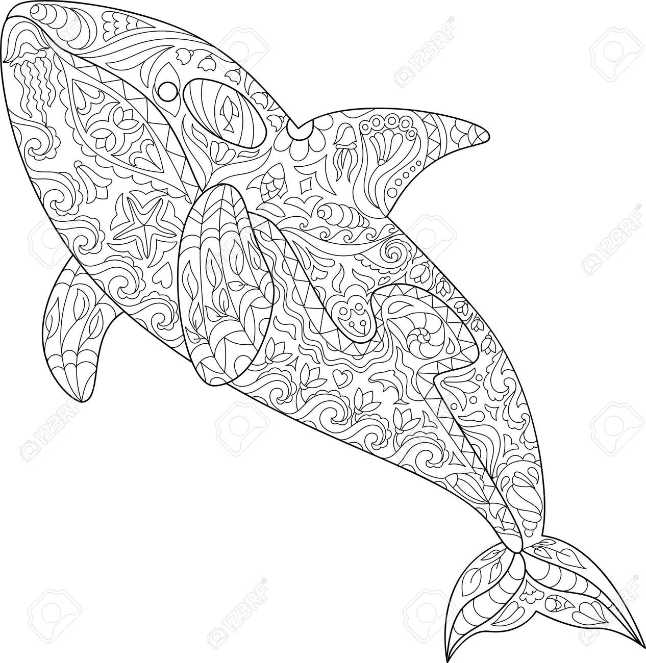 Orca whale coloring page for kids black outline killer whale animal sea ornament royalty free svg cliparts vectors and stock illustration image