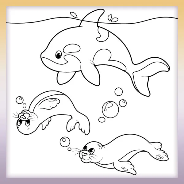Seals playing with orca â