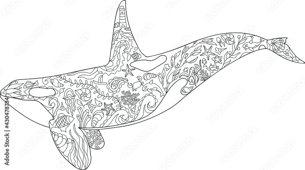 Killer whale coloring page vector illustration zentangle animal outline sea animal ornament corals and shells vector