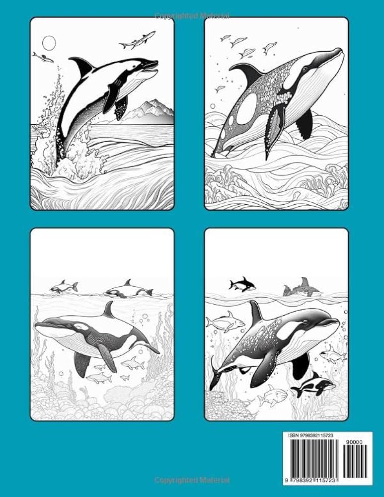 Orca coloring book colouring pages mindfulness stress relief with these beautiful orca whale designs for adults teen girls and boys drawing activities of marine underwater whales and more publishing mikej