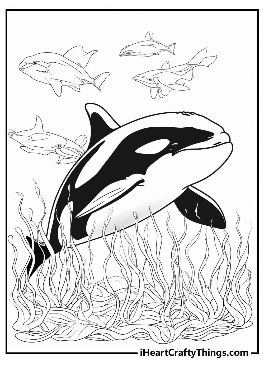 Killer whale coloring pages free printables