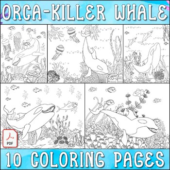 Killer whales orca coloring pages