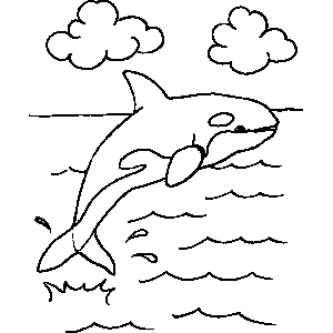 Orca whale coloring sheet