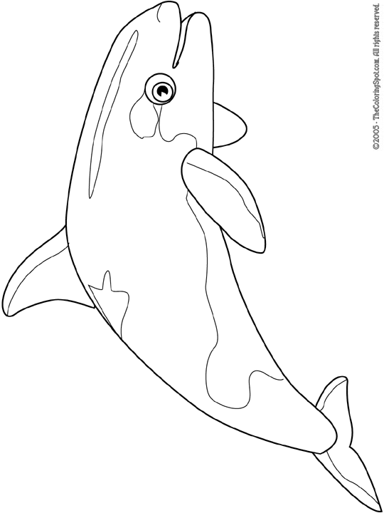 Orca coloring page audio stories for kids free coloring pages colouring printables