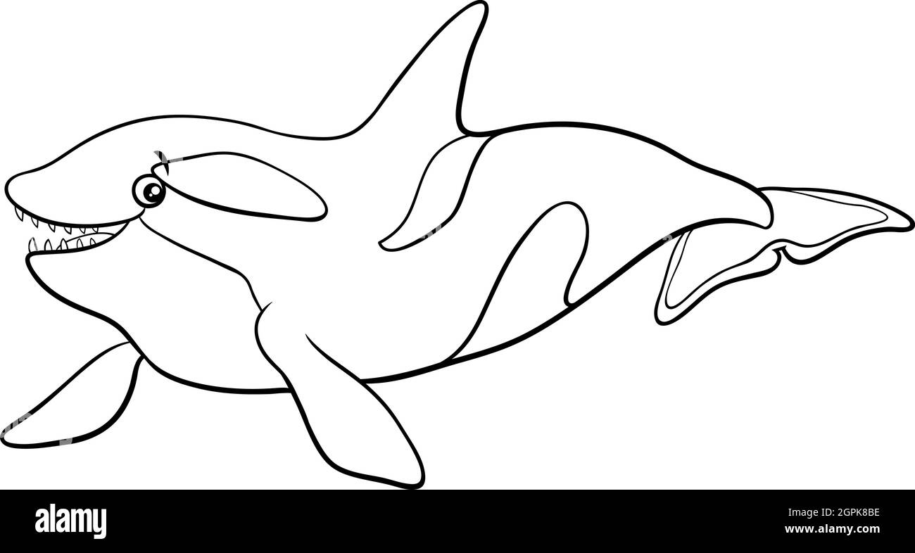 Cartoon orca or killer whale animal character coloring book page stock vector image art