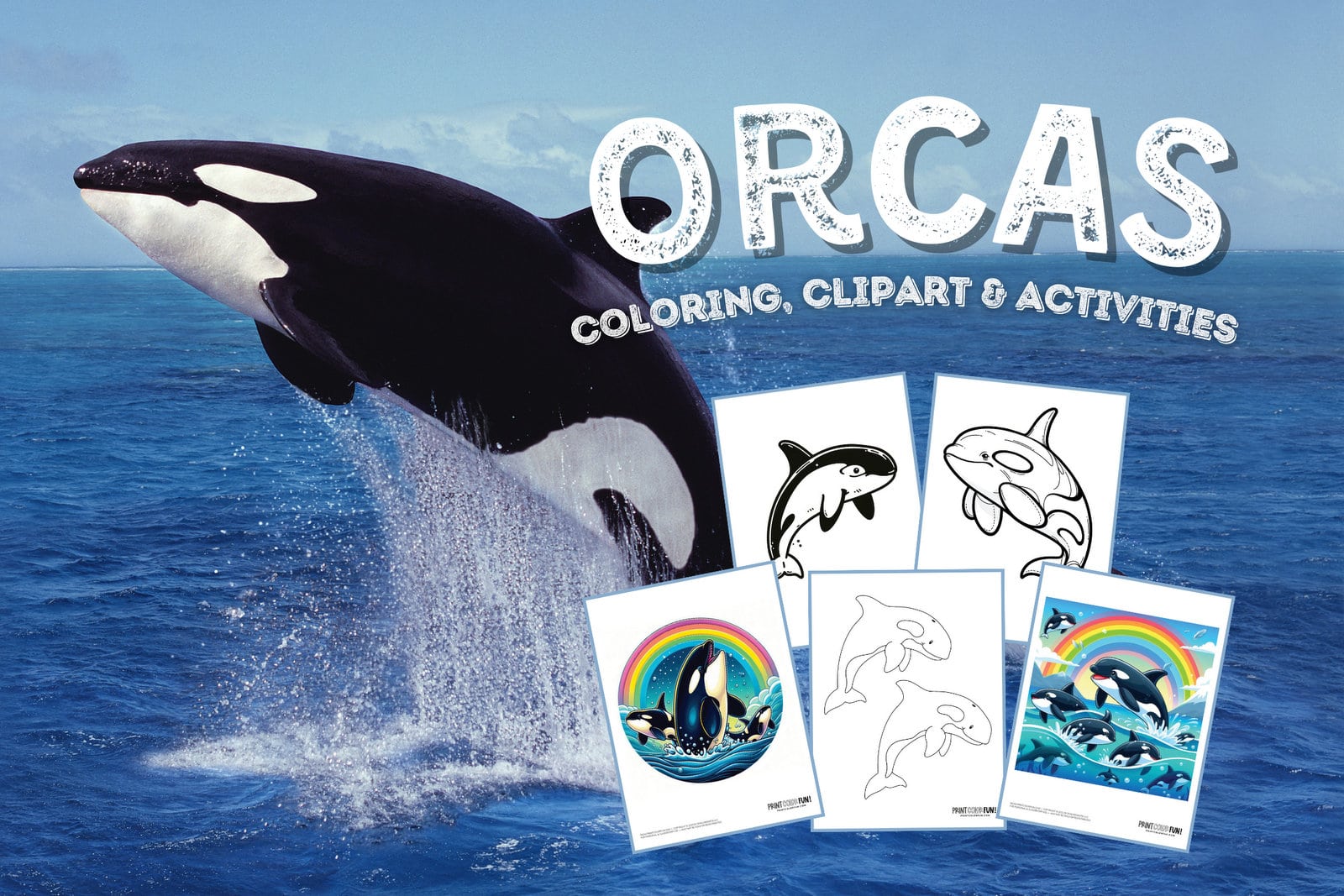 Orca coloring pages killer whale clip art activities at