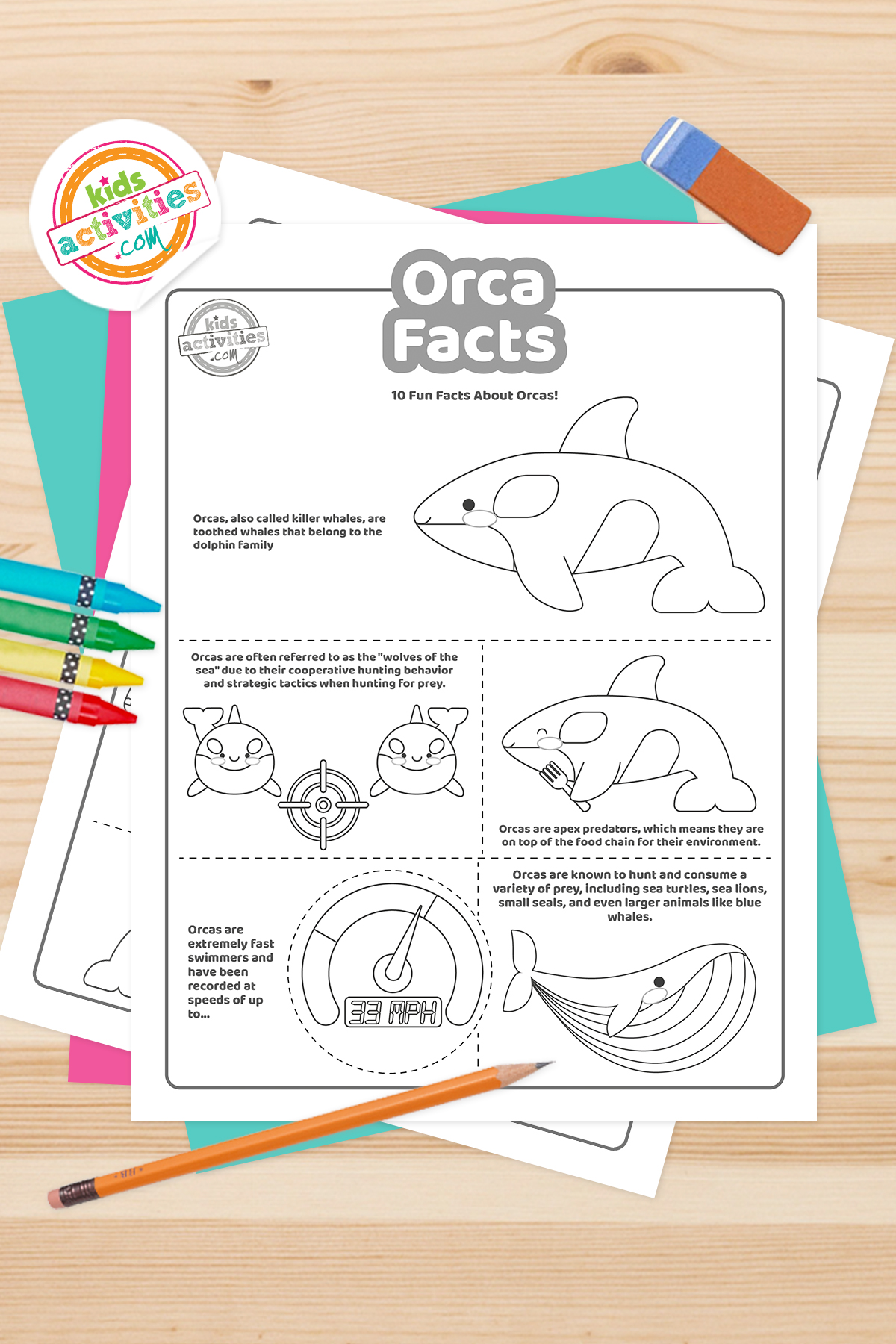 Cool orca facts kids activities blog