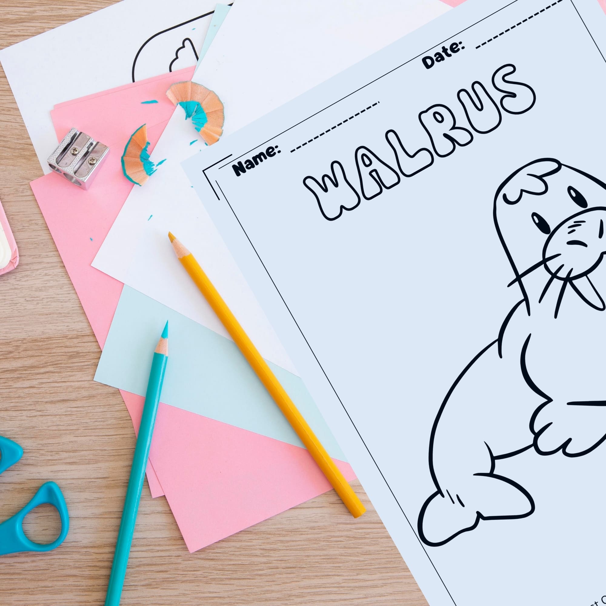 Winter no prep coloring pages antarctic and arctic animals coloring pages made by teachers