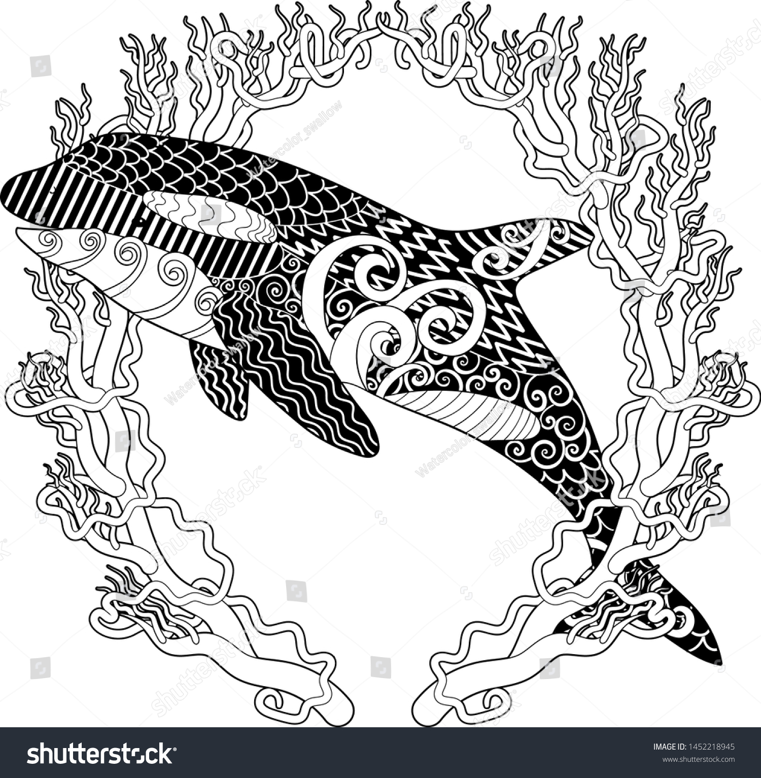 Killer whale high details adult antistress stock vector royalty free