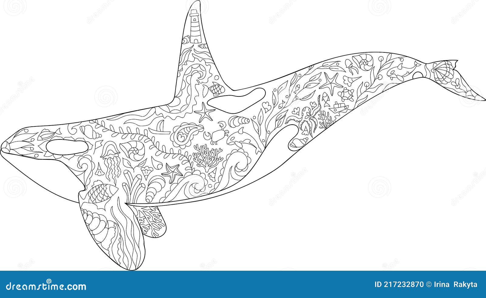 Killer whale coloring page vector illustration zentangle animal outline sea animal ornament corals and shells stock vector