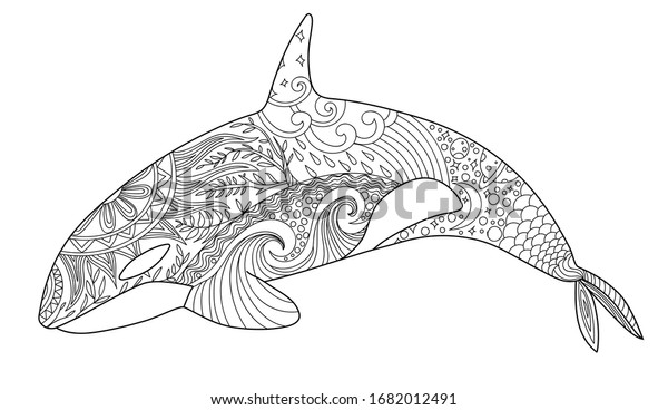 Whale coloring page adult antistress coloring stock vector royalty free