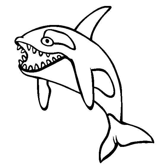 Killer whale orca coloring page