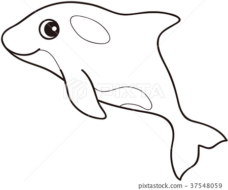 Orca coloring page
