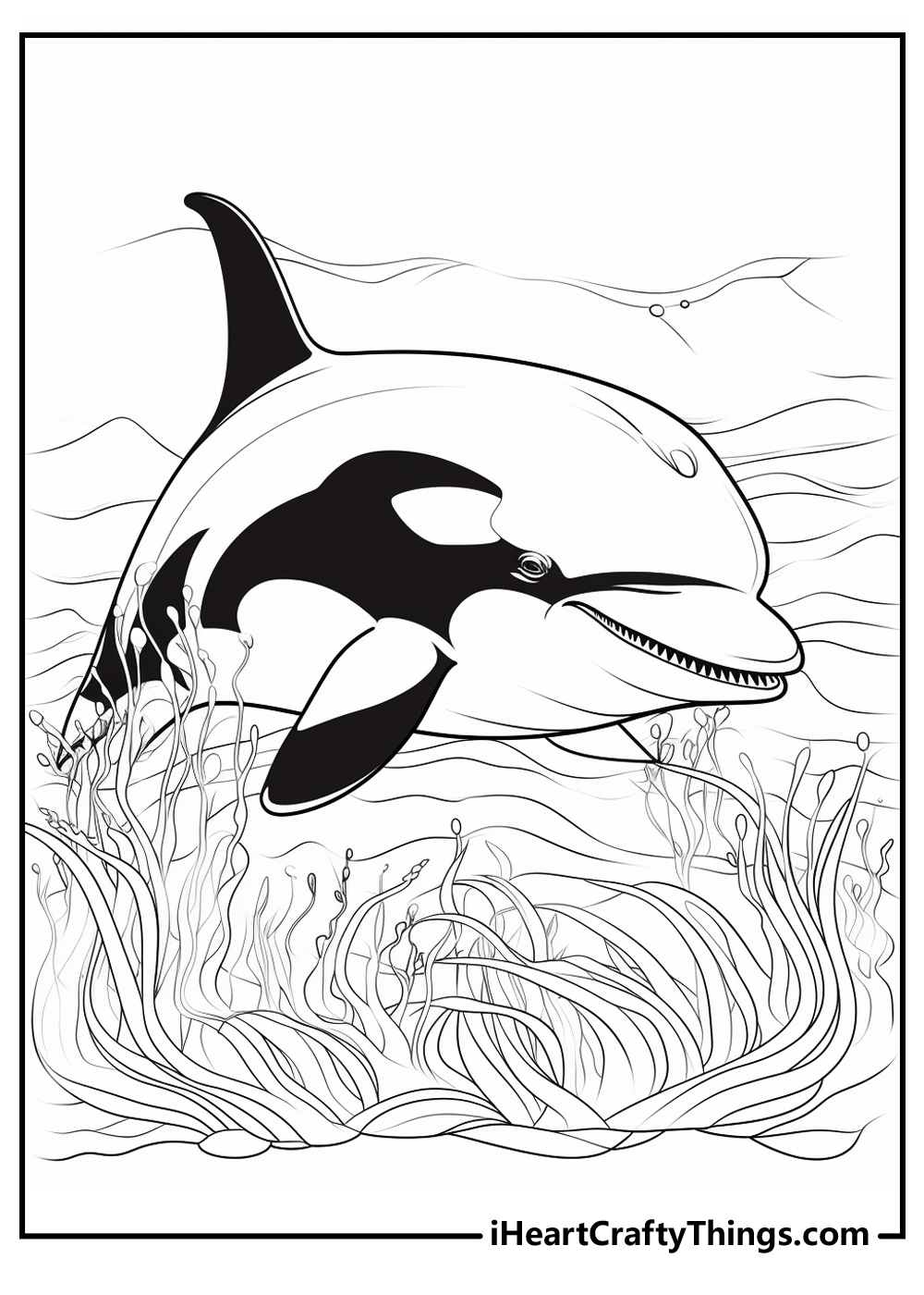 Killer whale coloring pages free printables