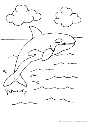 Orca coloring page