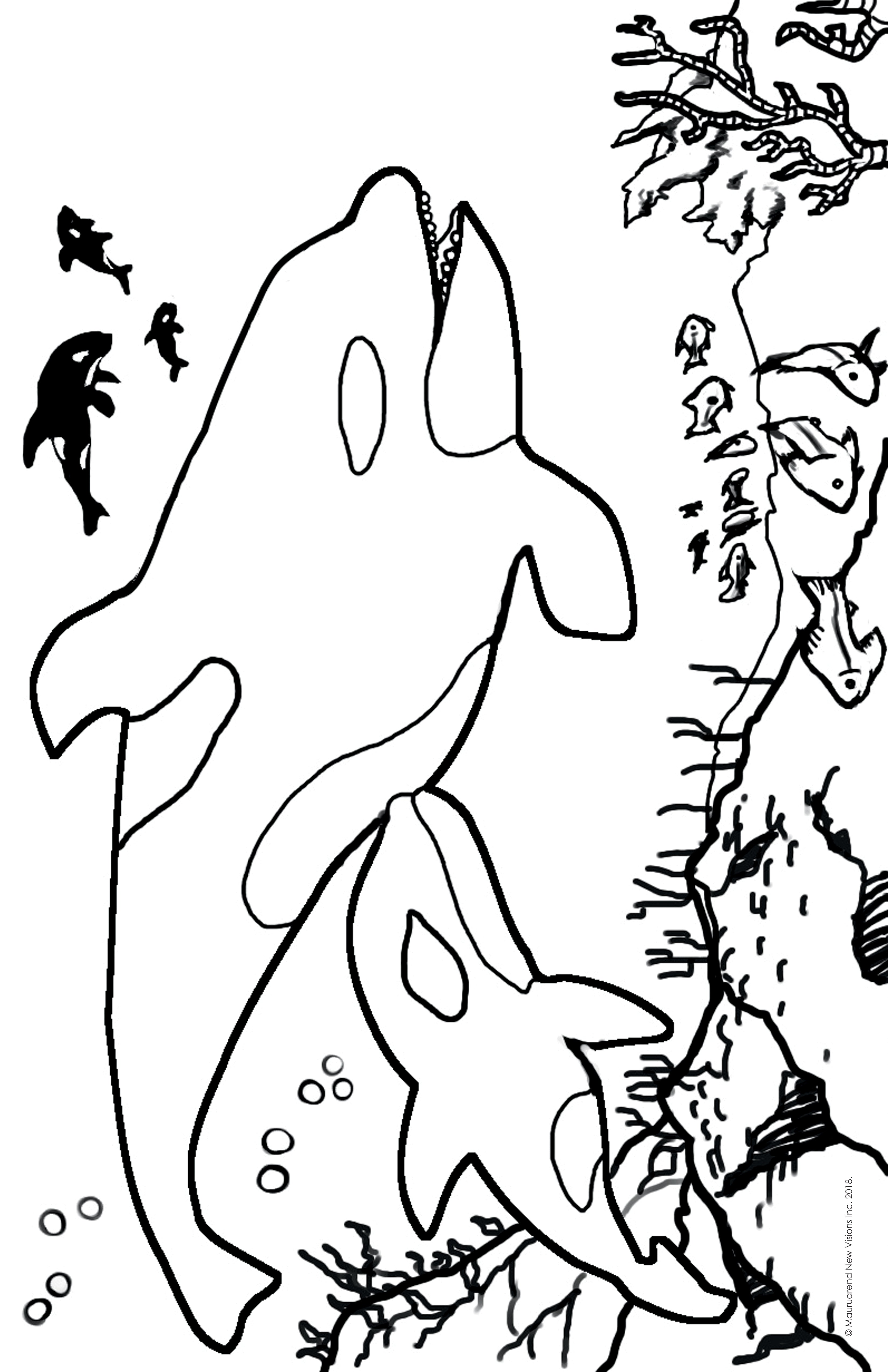 Printable coloring page orcas â vybin art