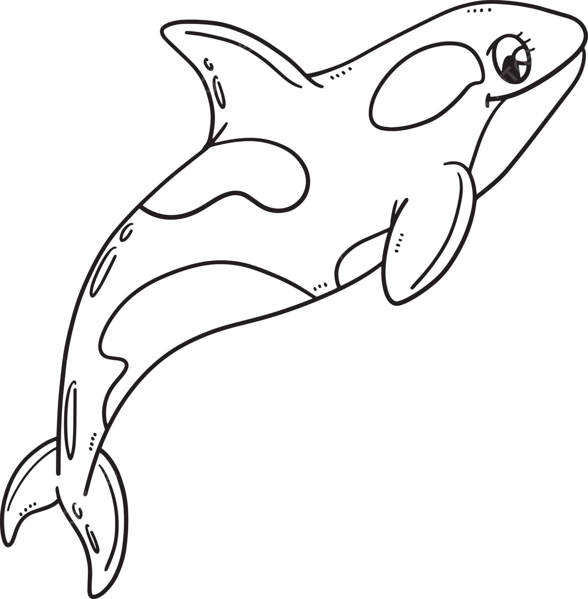 Mother killer whale isolated coloring page coloring page colouring book animal vector coloring page colouring book animal png and vector with transparent background for free download