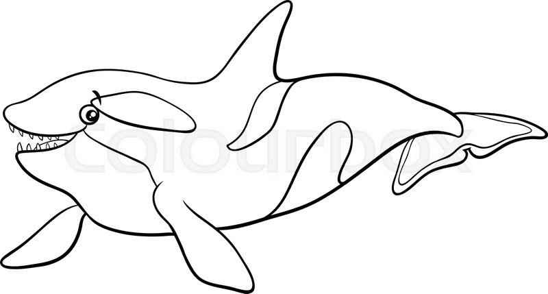 Cartoon orca or killer whale animal character coloring book page stock vector