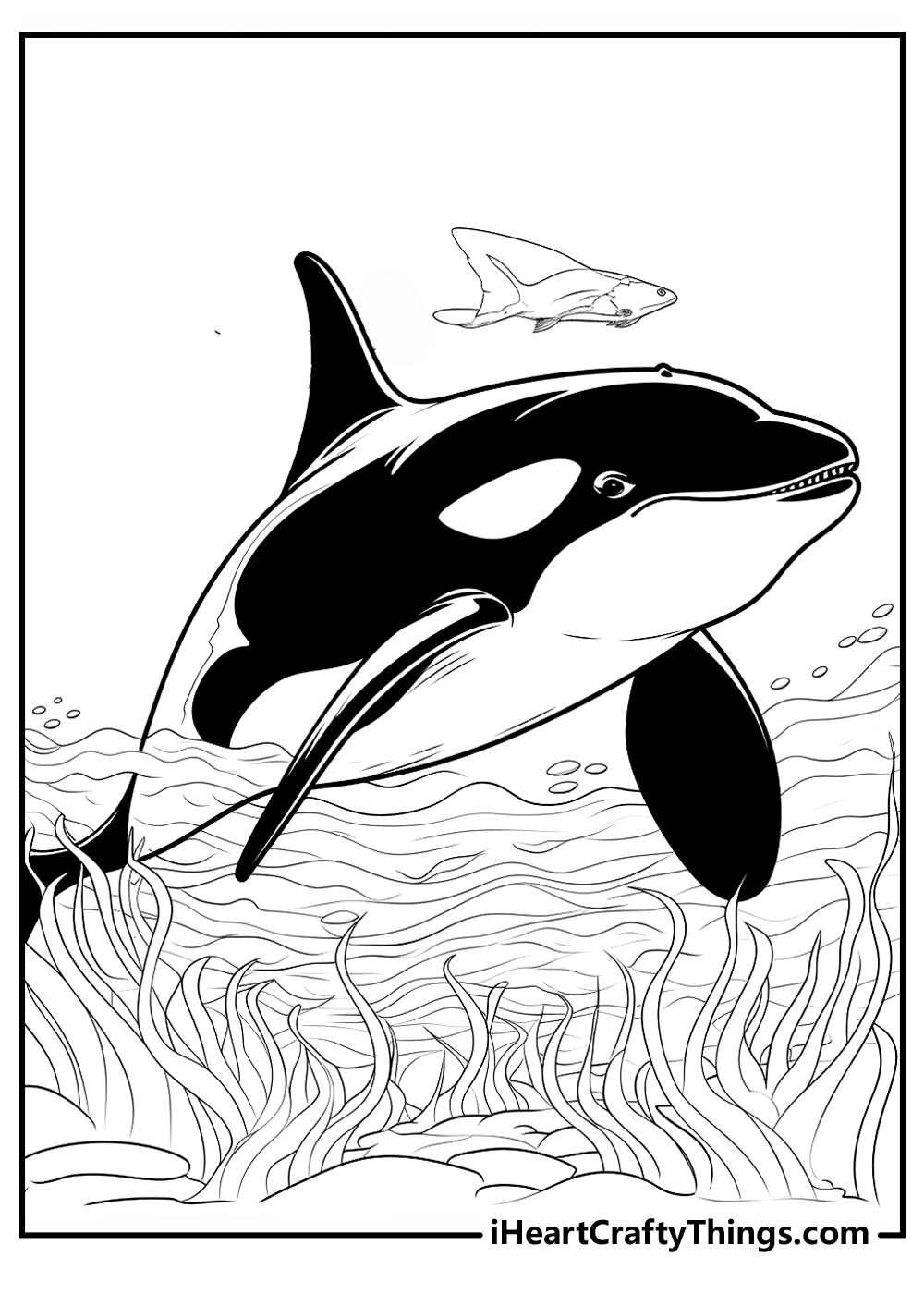 Killer whale coloring pages free printables