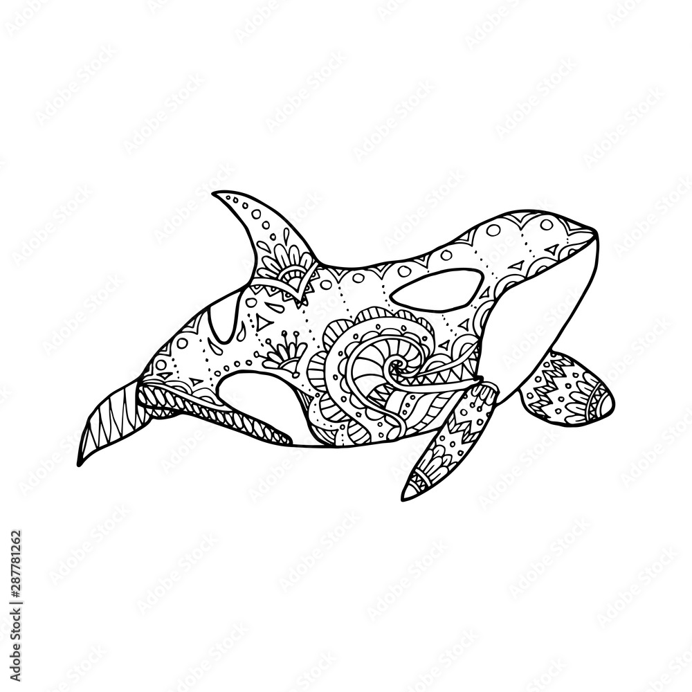 Vector illustration of hand drawn patterned killer whale doodle orca coloring page book anti stress for adult vector