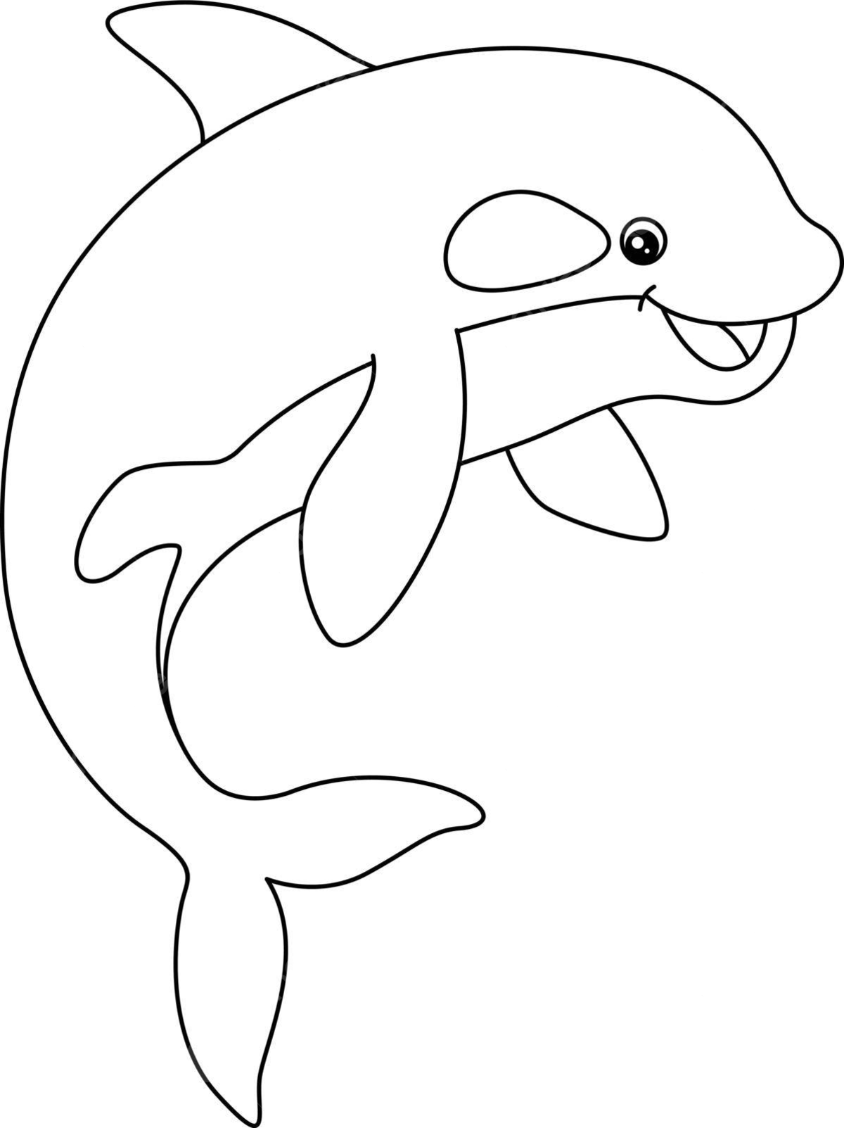 Killer whale coloring page for kids coloring page water vector coloring page water png and vector with transparent background for free download