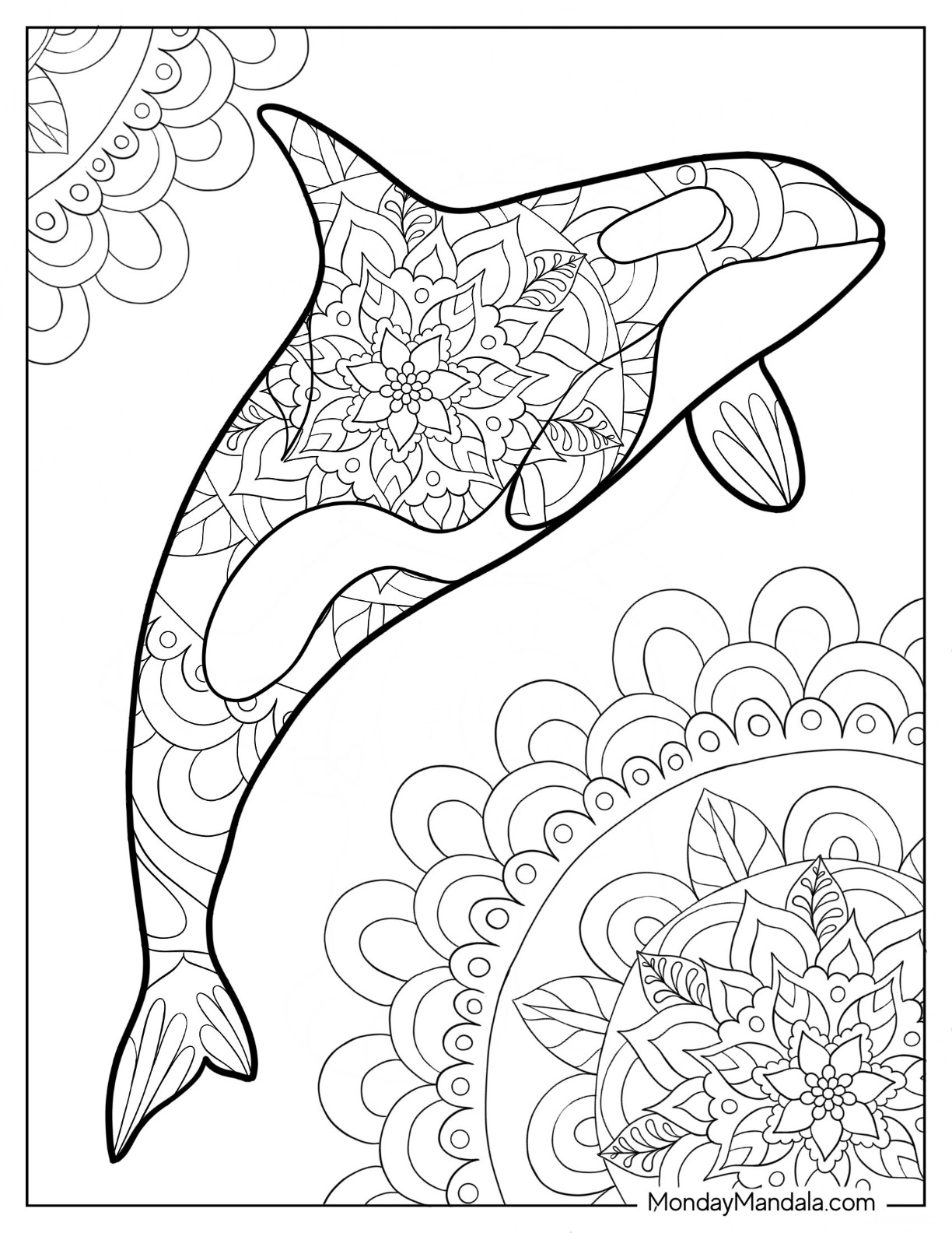 Killer whale coloring pages free pdf printables