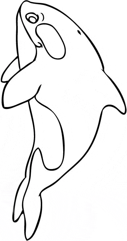 Killer whale orca coloring page