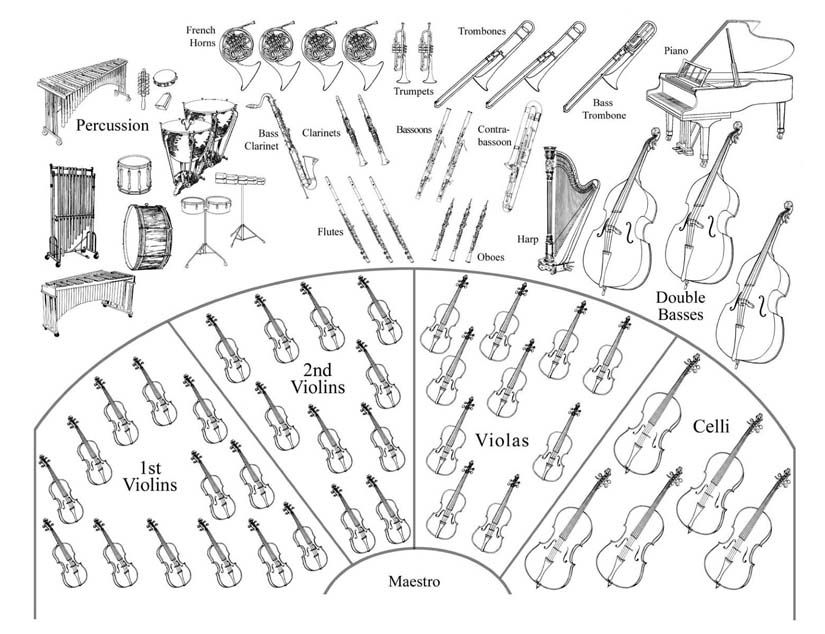 Wild symphony coloring pages