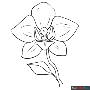 Orchid coloring page easy drawing guides