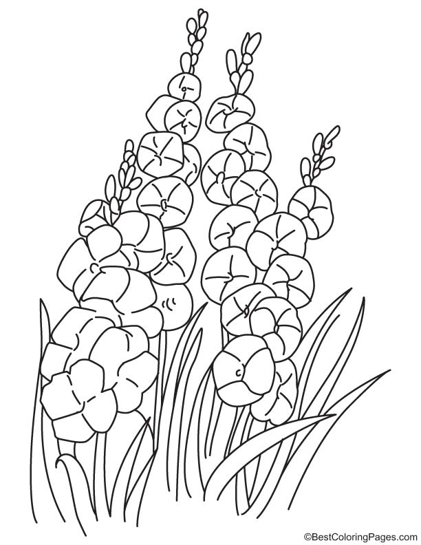 Orchid with bushes coloring page download free orchid with bushes coloring page for kids best coloring pages