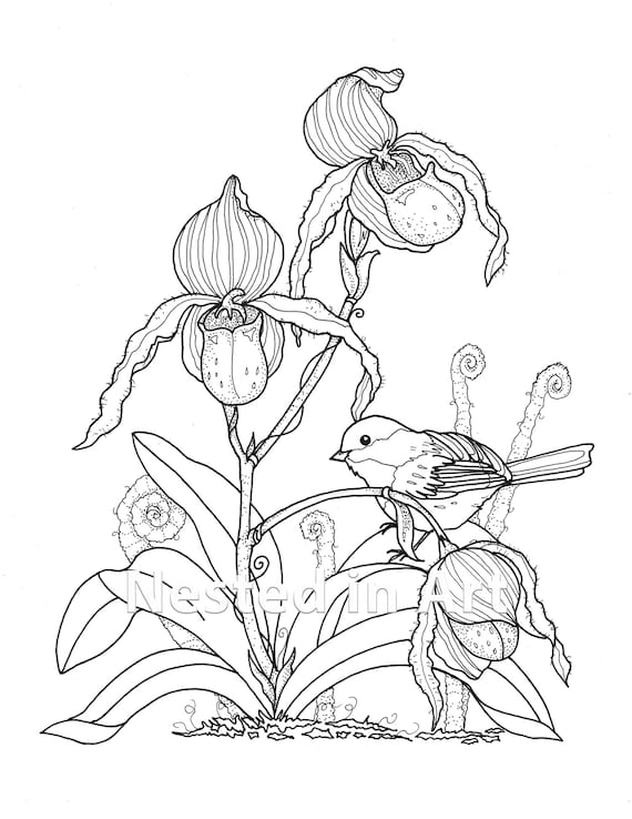 Adult coloring page bird and lady slipper orchids digital download punch needle pattern