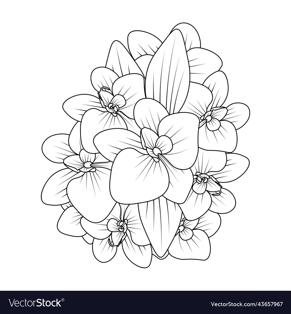 Orchid flower outline line coloring page of easy vector image