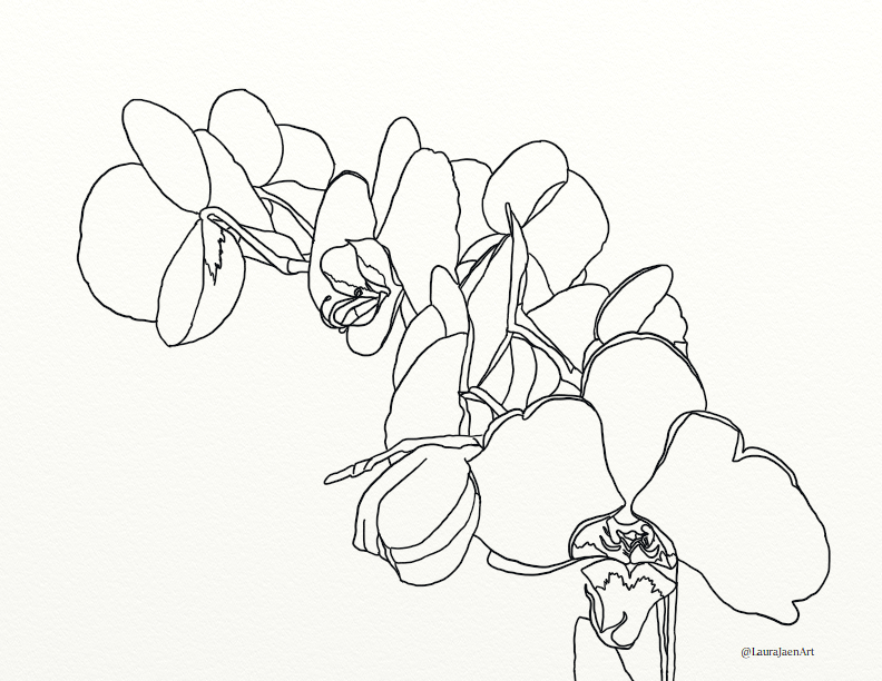 Â orchid coloring page â